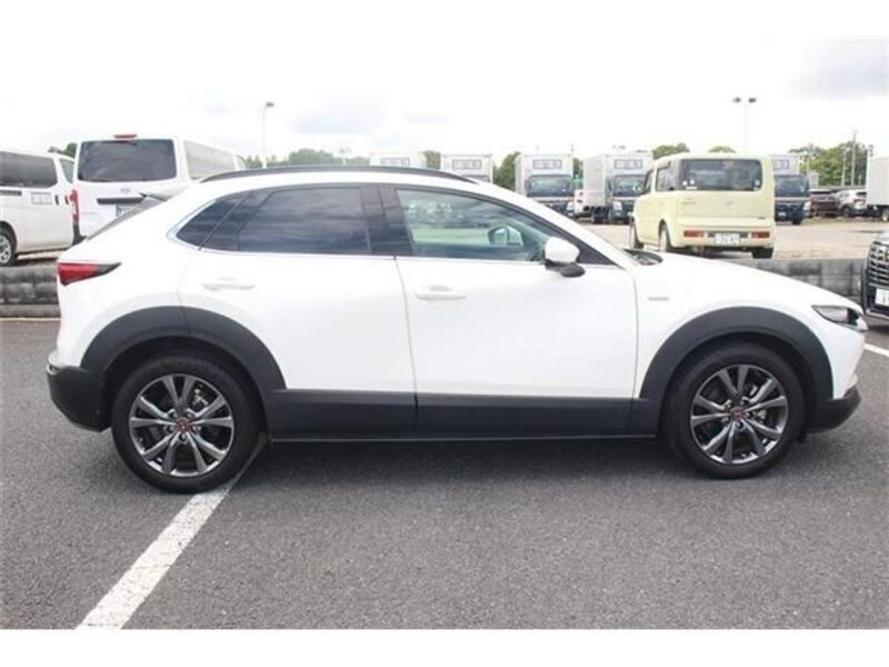 CX-30