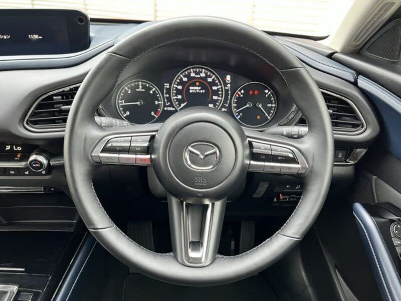 CX-30