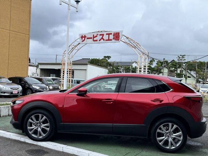 CX-30