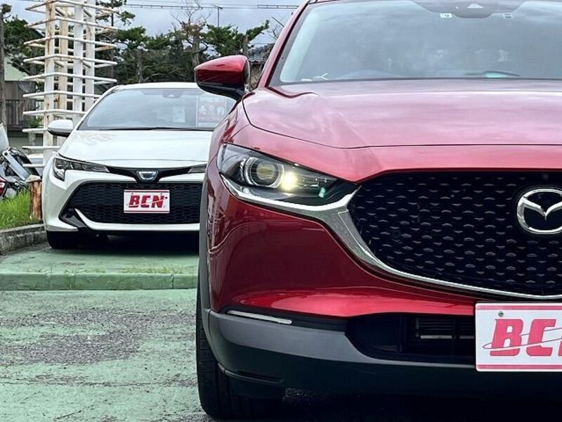 CX-30