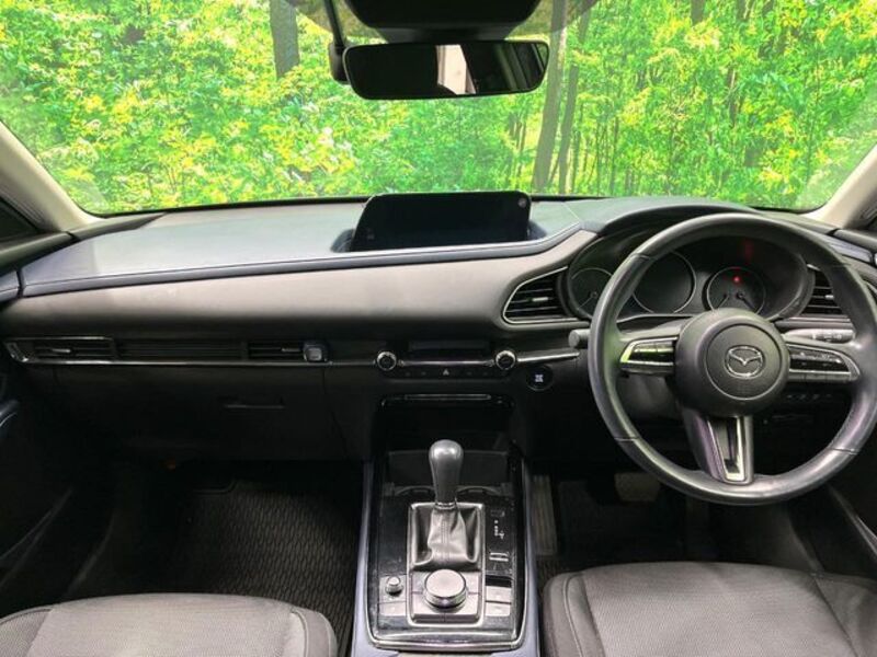 CX-30