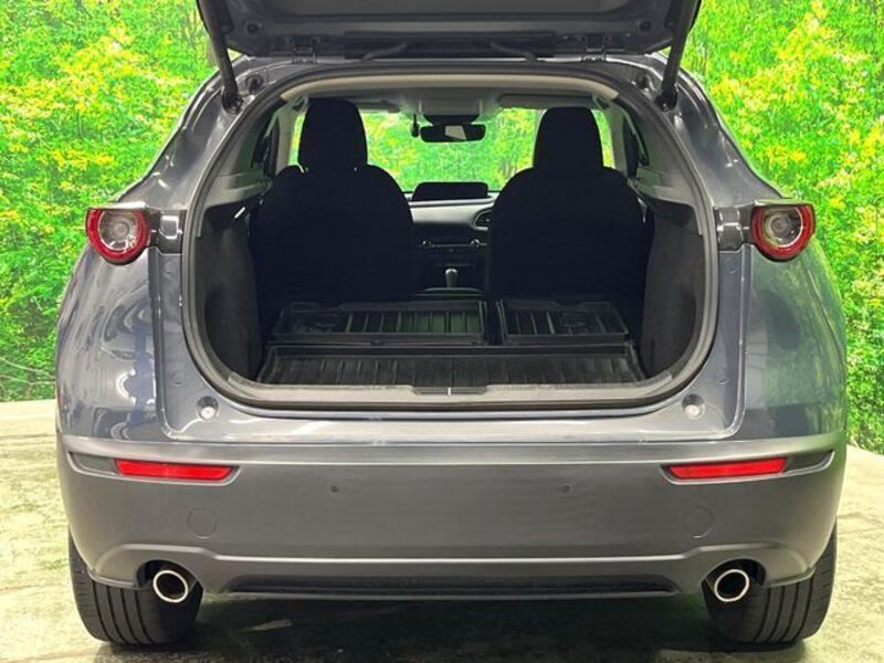 CX-30