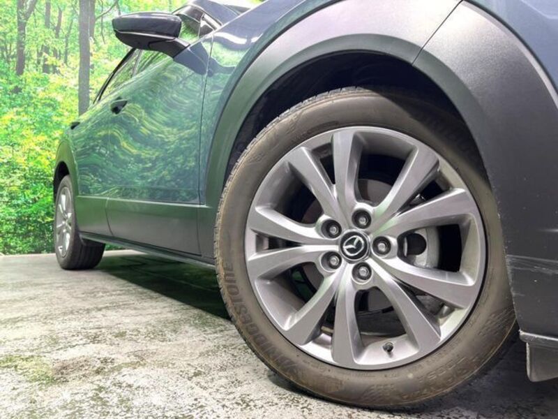CX-30