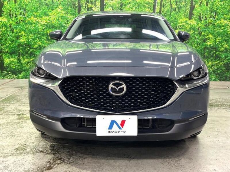 CX-30