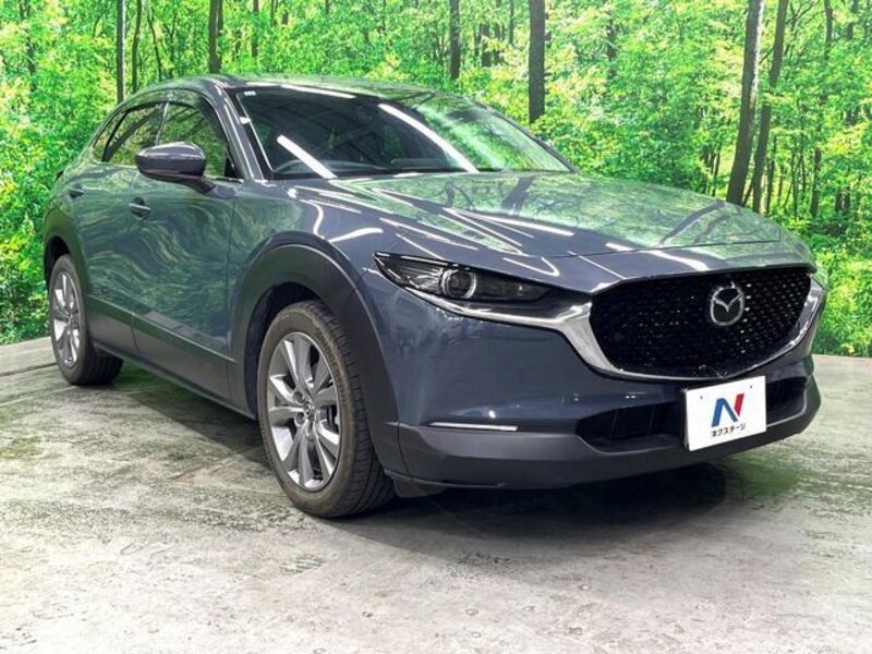 CX-30