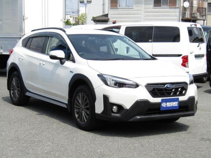 XV