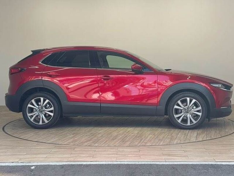 CX-30
