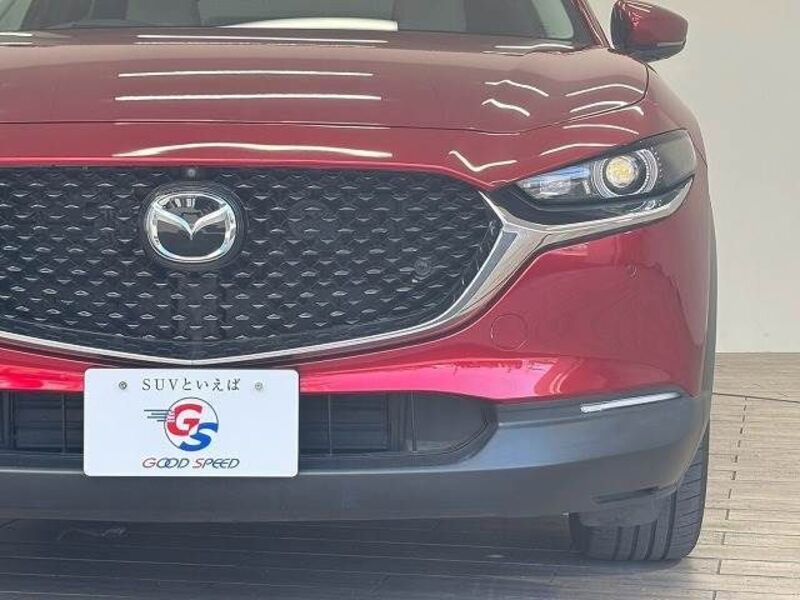CX-30