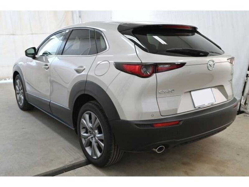 CX-30