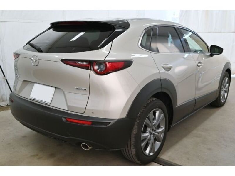 CX-30