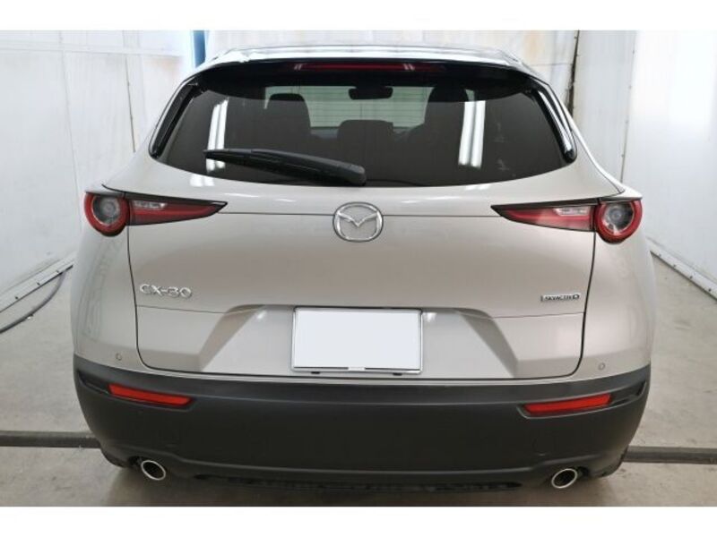 CX-30