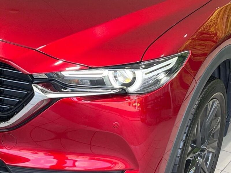 CX-8