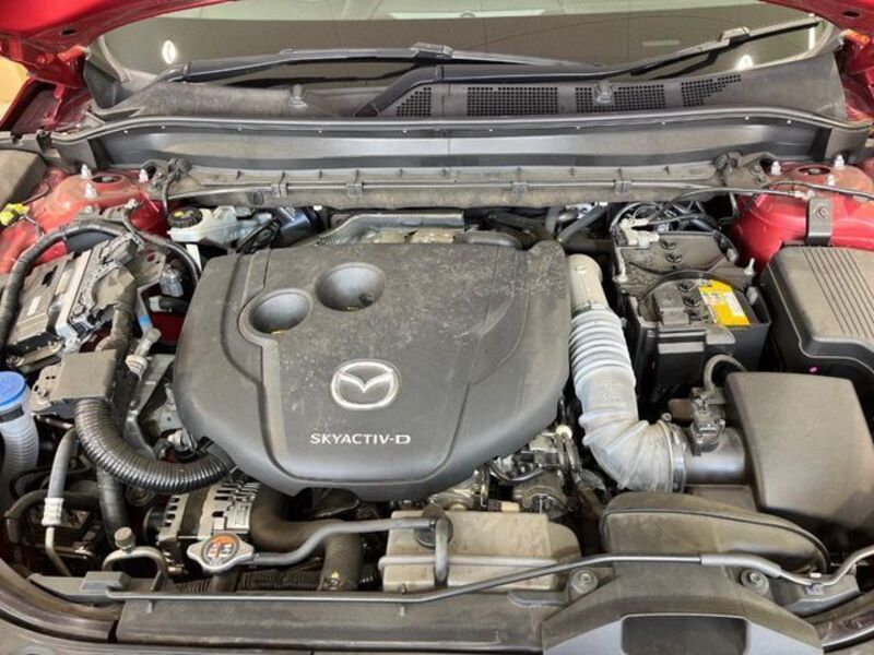 CX-8