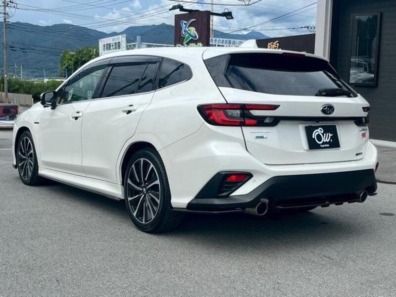 LEVORG