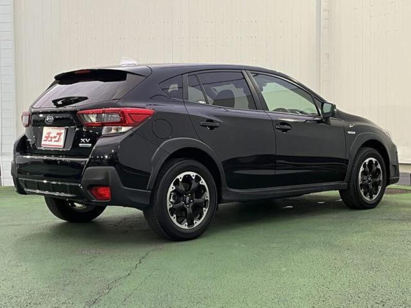 XV