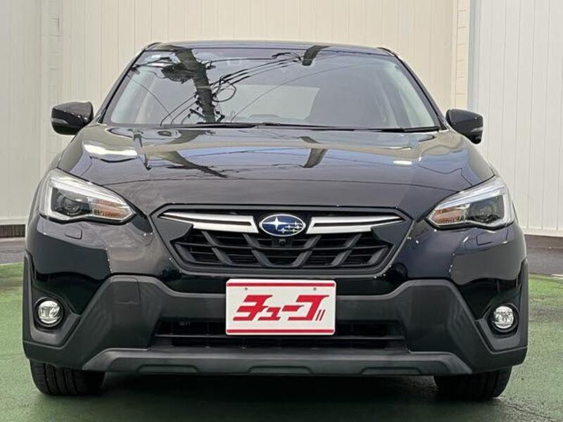 XV
