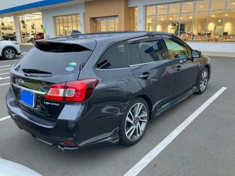 LEVORG