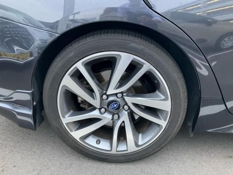 LEVORG