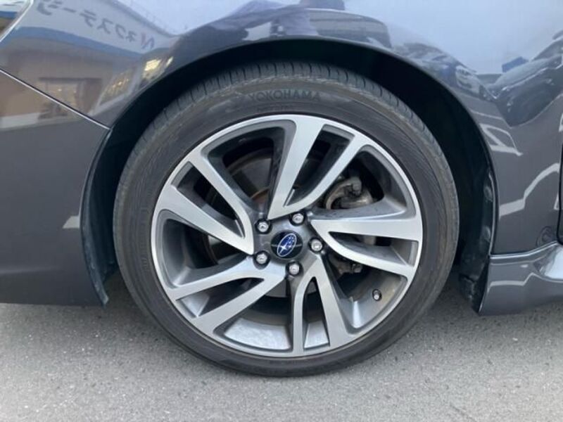 LEVORG