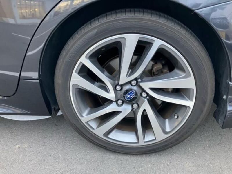 LEVORG