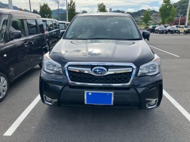 FORESTER-0