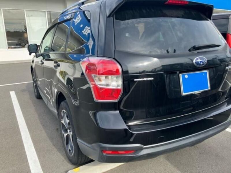 FORESTER