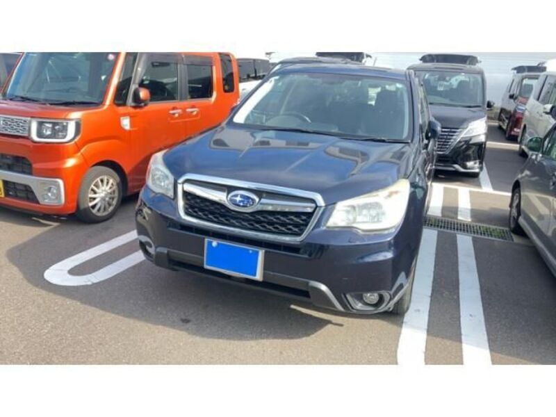 FORESTER