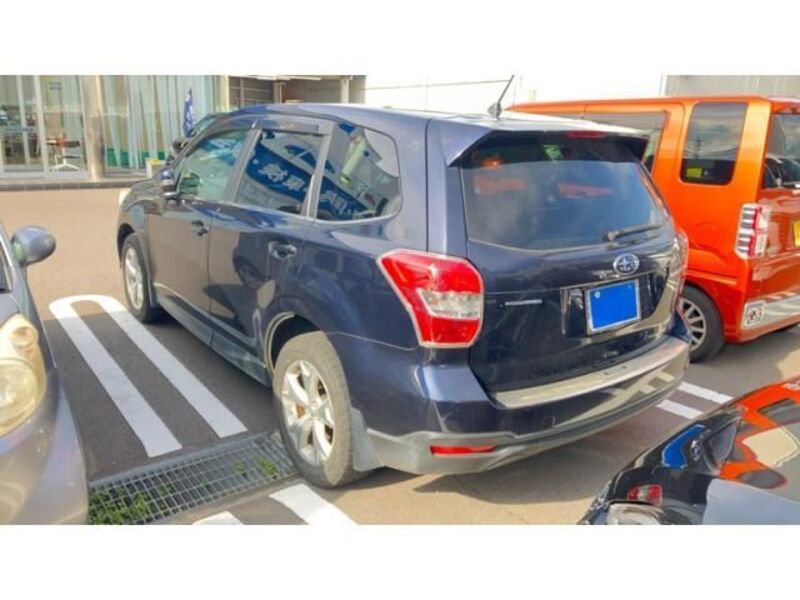 FORESTER