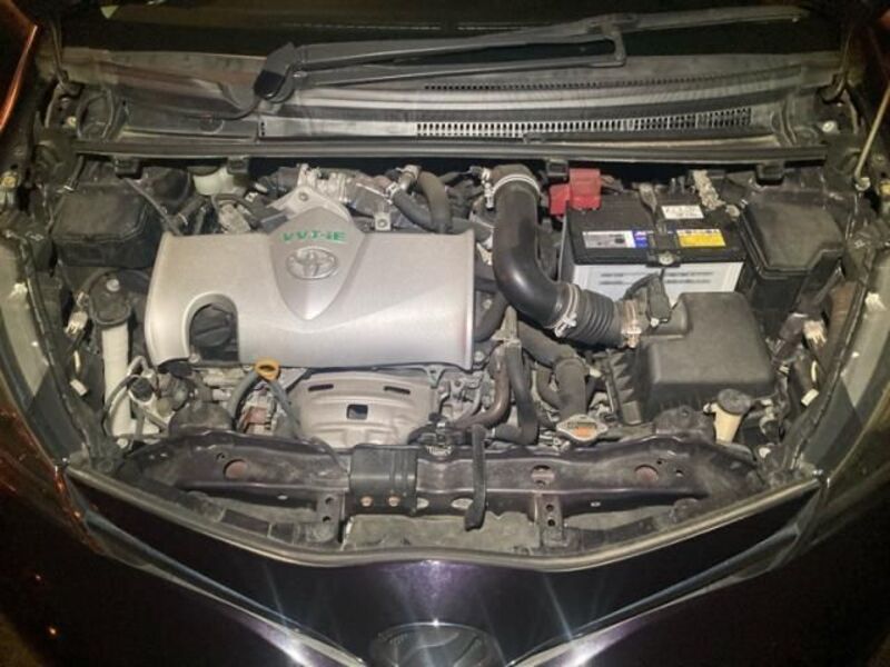 VITZ