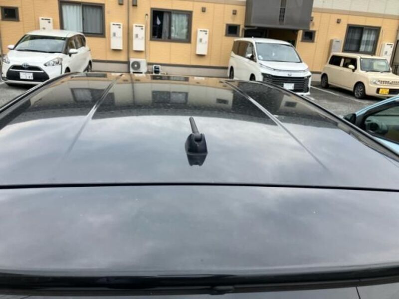 AURIS