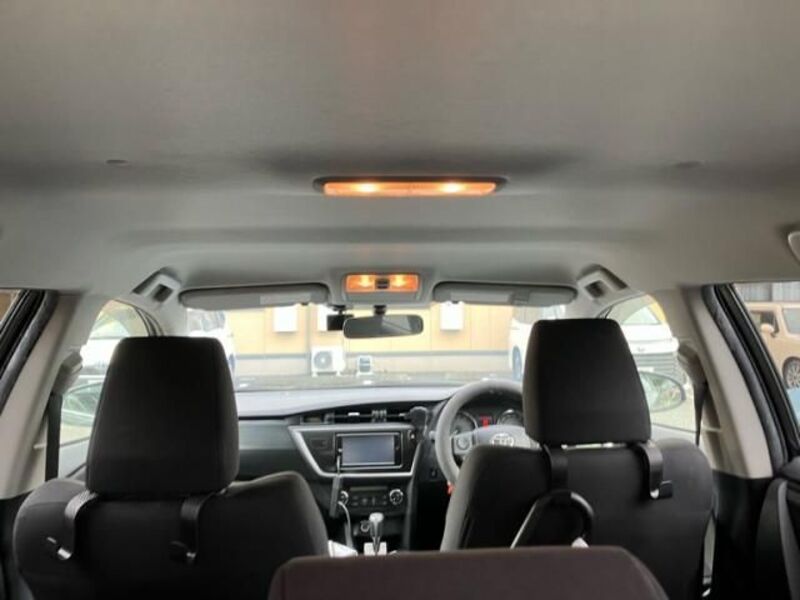 AURIS