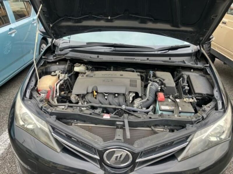 AURIS