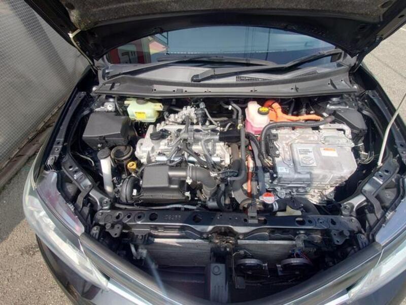 COROLLA FIELDER