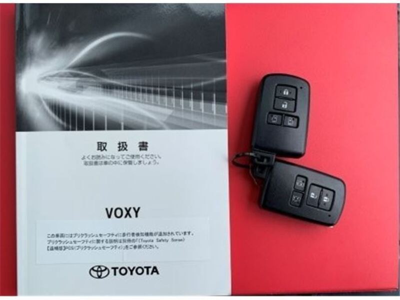 VOXY