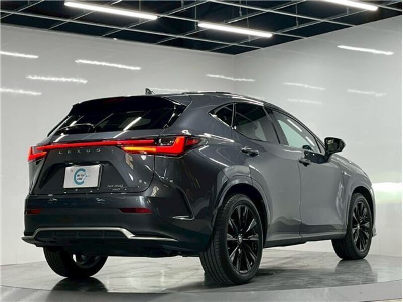 NX