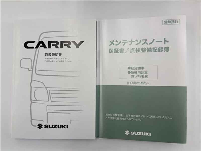 CARRY TRUCK