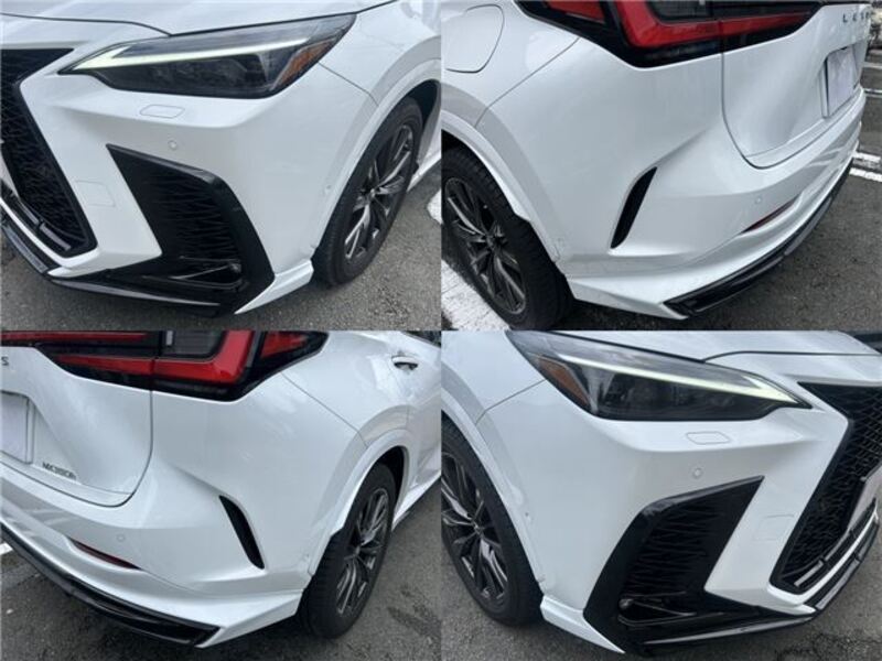 NX