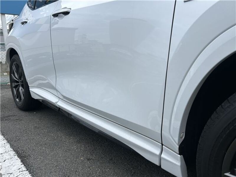 NX