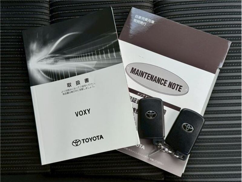 VOXY