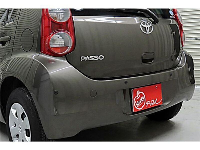 PASSO