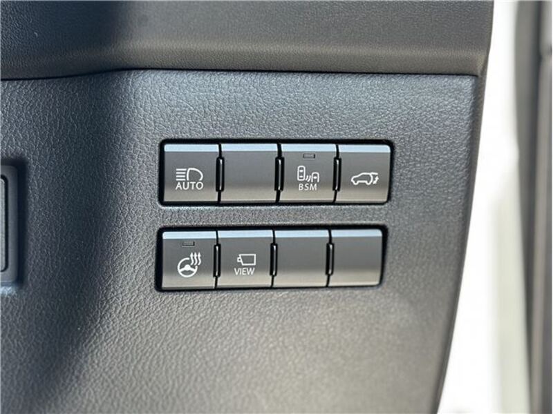 NX