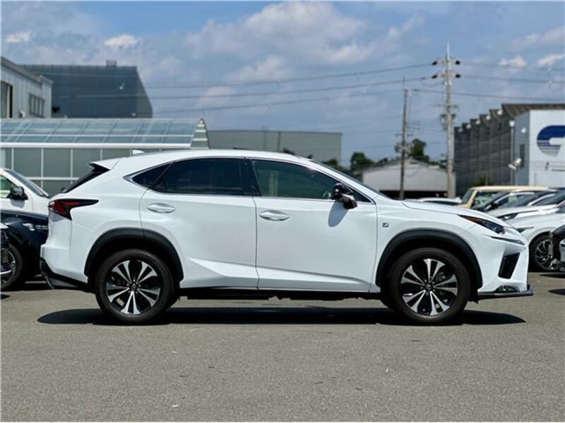 NX
