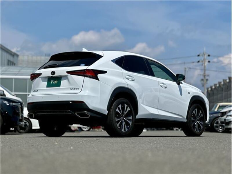 NX