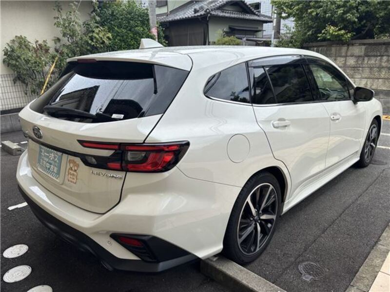 LEVORG