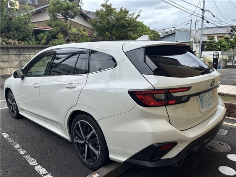 LEVORG