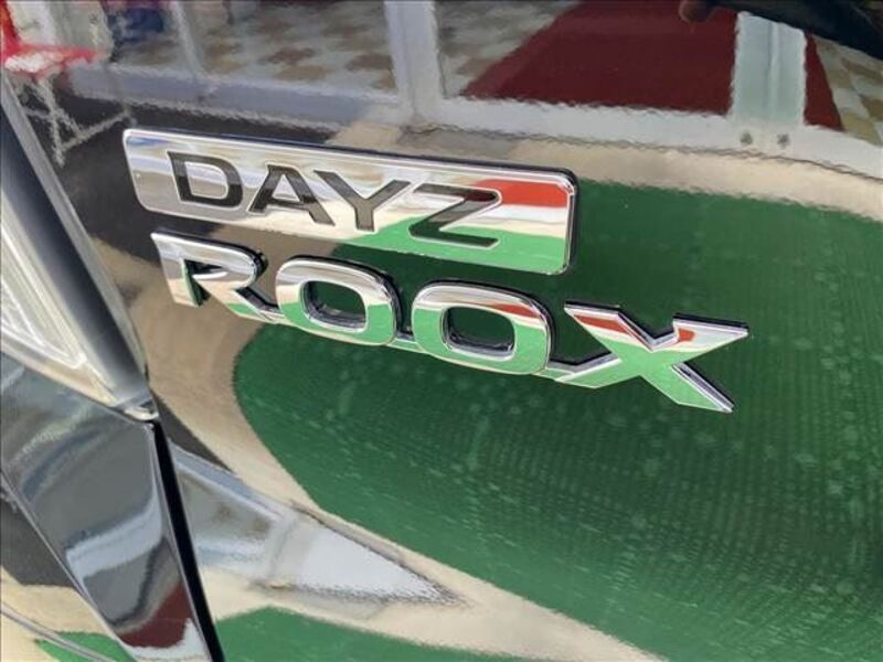DAYZ ROOX