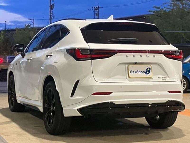 NX
