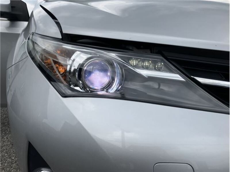 AURIS
