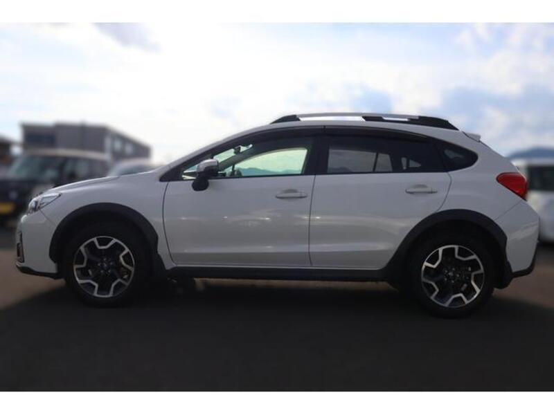 XV