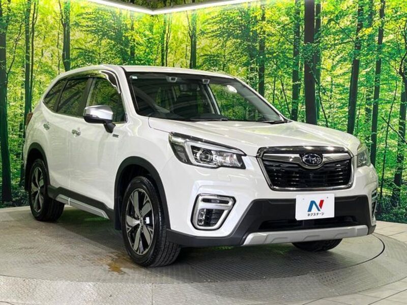 FORESTER